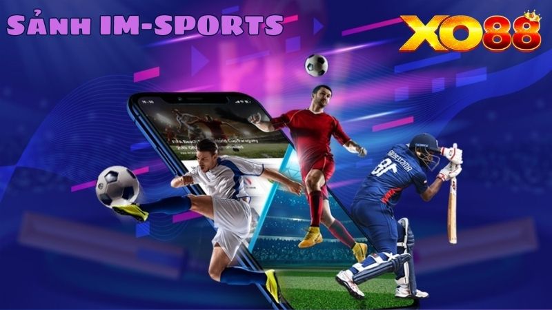 Sảnh IM-SPORTS là nhà tài trợ của nhiều giải đấu lớn