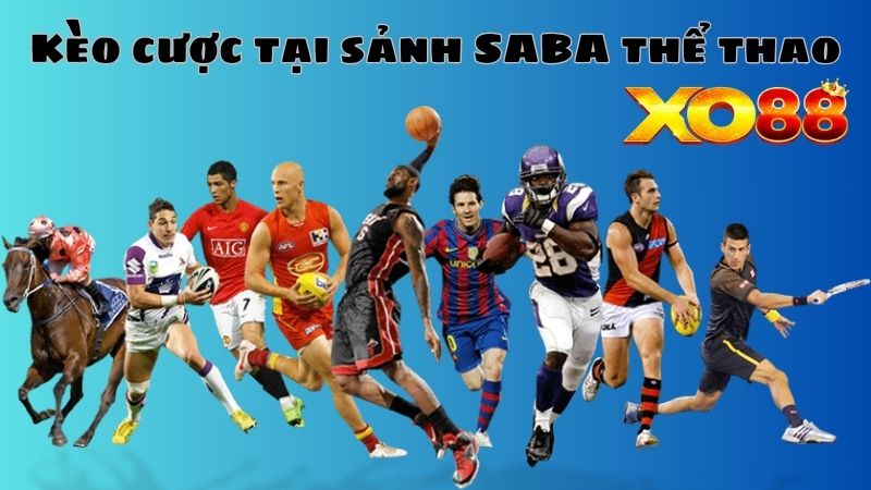 Các loại kèo tại sảnh cược SABA SPORT