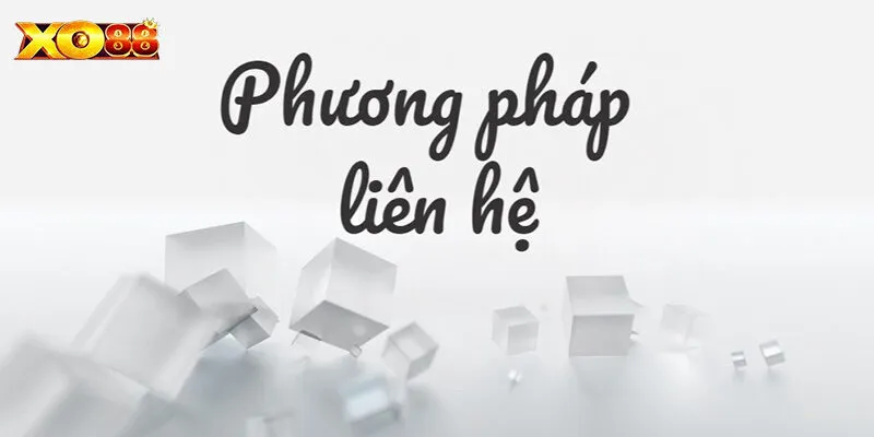 Top 5 cách liên hệ XO88 hiện đại, nhanh chóng