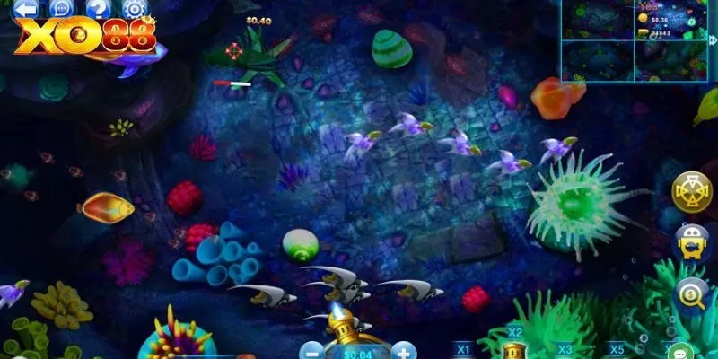 Mẹo săn cá cực đỉnh dành cho ngư thủ